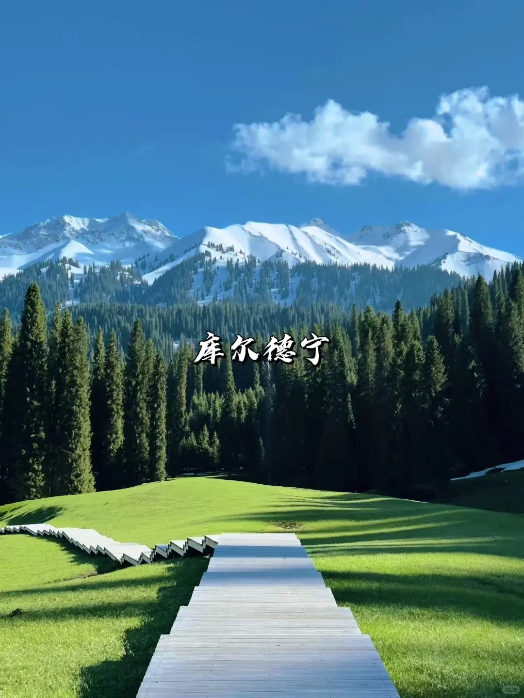 一次性讲清楚｜新疆伊犁八大草原怎么选？_3_风驰旅行_来自tour520旅游攻略